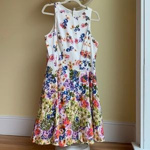Floral dress, pockets, cotton, flattering princess seams flow into flared skirt.